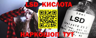 прущие грибы Будённовск