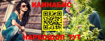 прущие грибы Будённовск