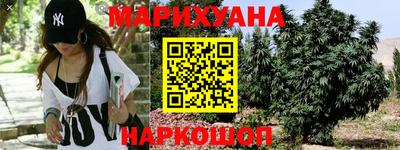прущие грибы Будённовск