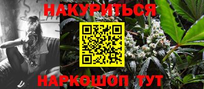 прущие грибы Будённовск