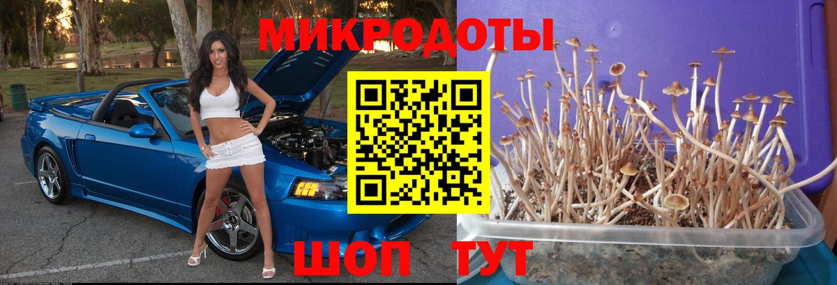 Галлюциногенные грибы прущие грибы Семилуки